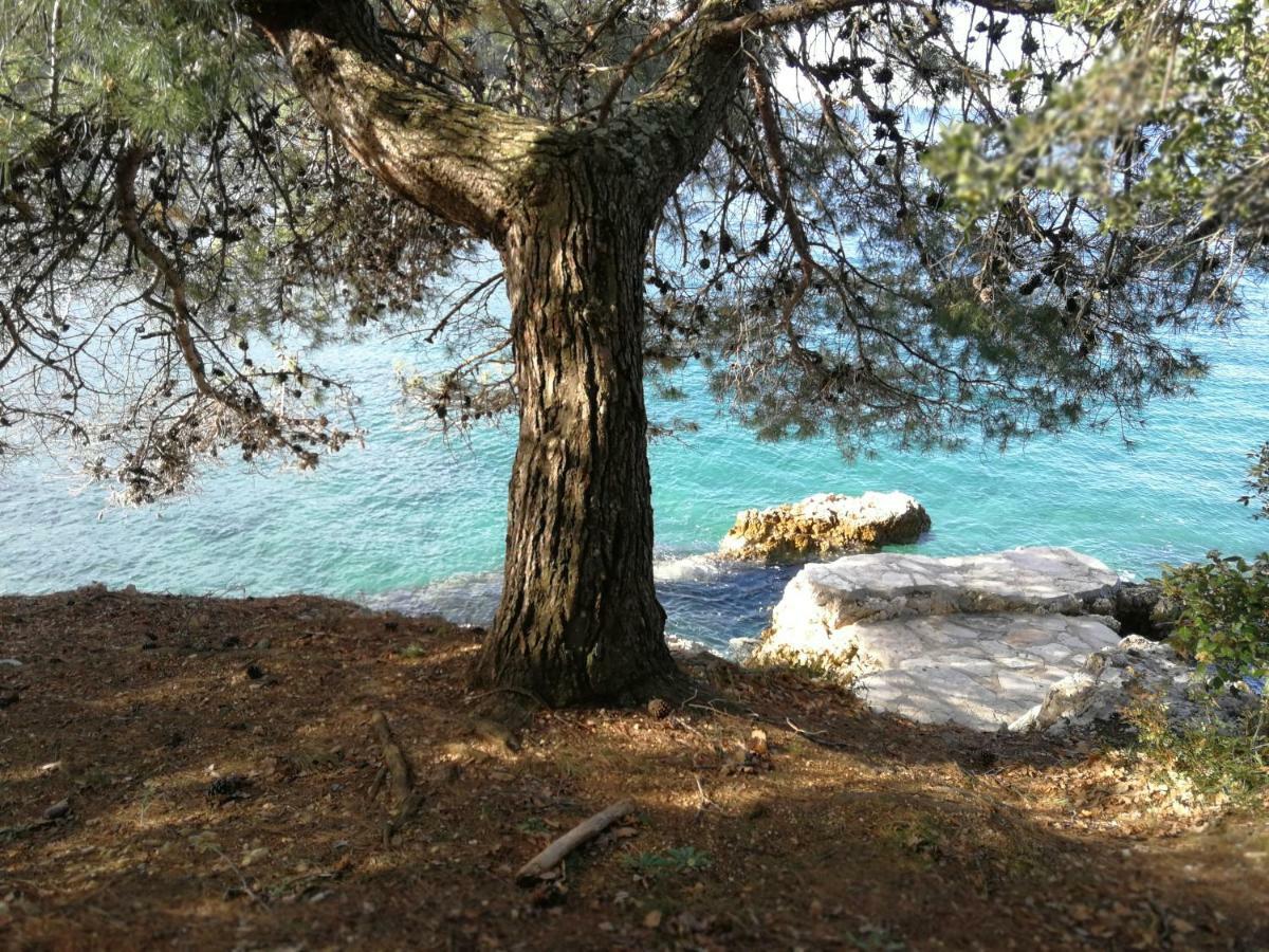 App Roko 2 Daire Poreč Dış mekan fotoğraf