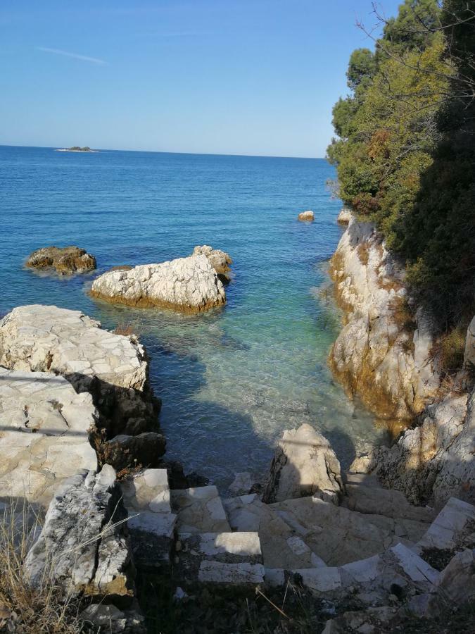 App Roko 2 Daire Poreč Dış mekan fotoğraf
